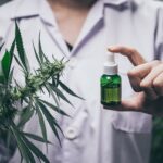 Przykłady zastosowania medycznej marihuany w terapii nowotworowej