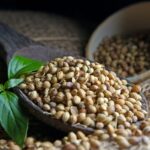 Czy kolekcjonowanie nasion marihuany jest legalne?